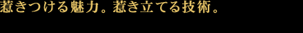 一つひとつ、表情の違う石を組み合わせることで
ひとつの統一された石積として完成します。
